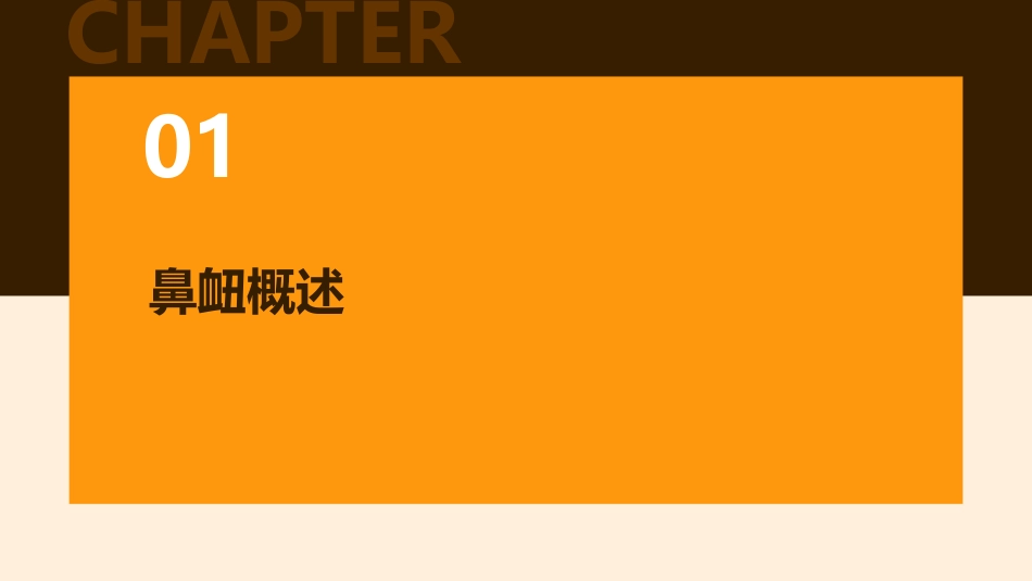 鼻衄ppt课件_第3页