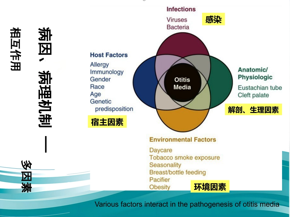 儿童分泌性中耳炎诊治 PPT_第4页