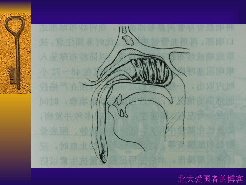 鼻部常见疾病_第15页