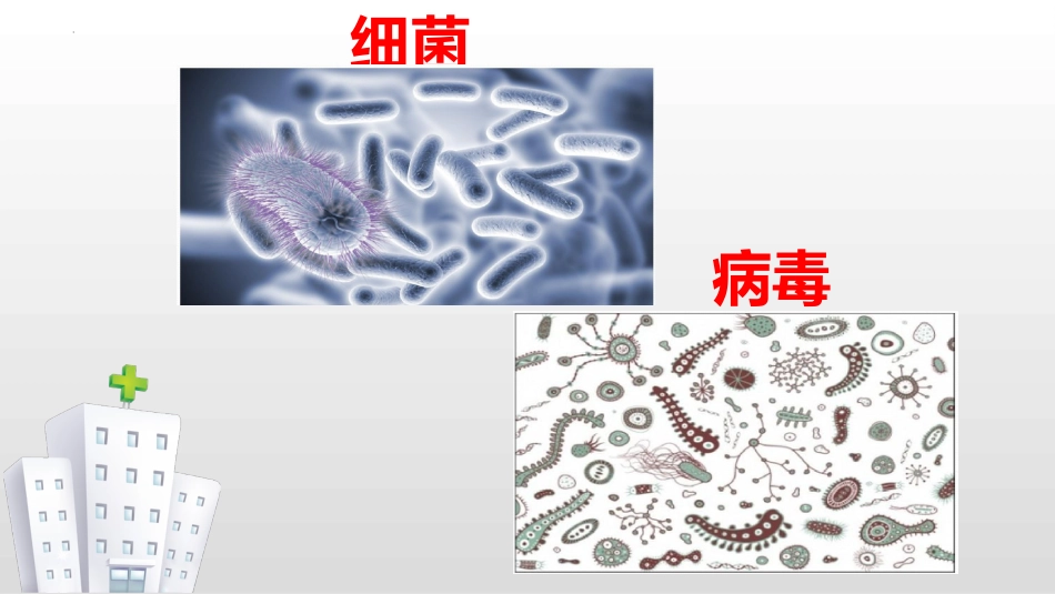 预防结核病及常见传染病专题教育_第3页