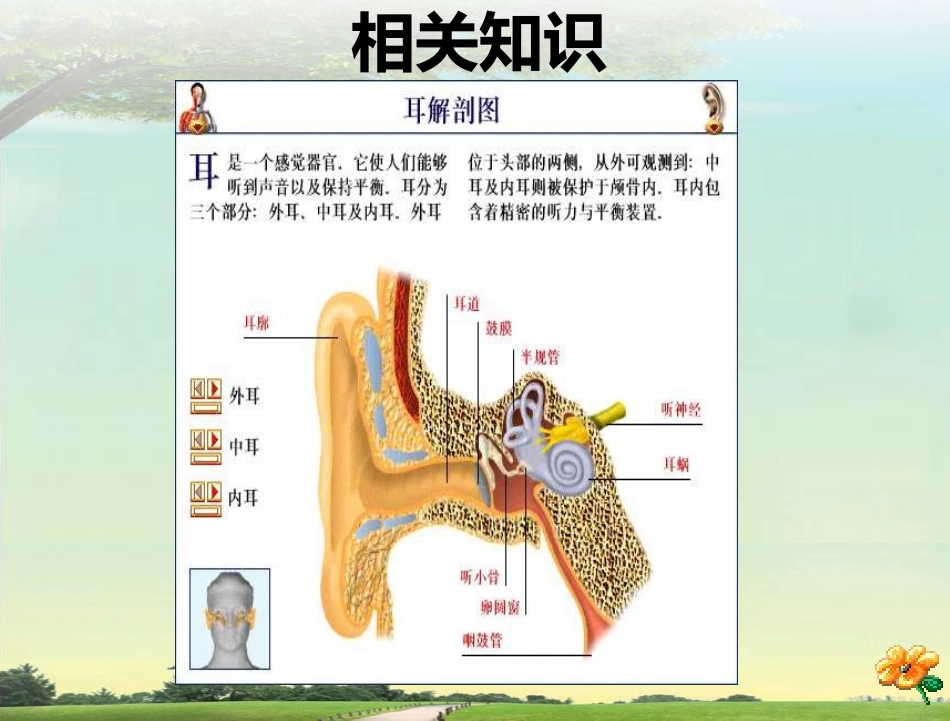 鼓膜穿孔_第3页