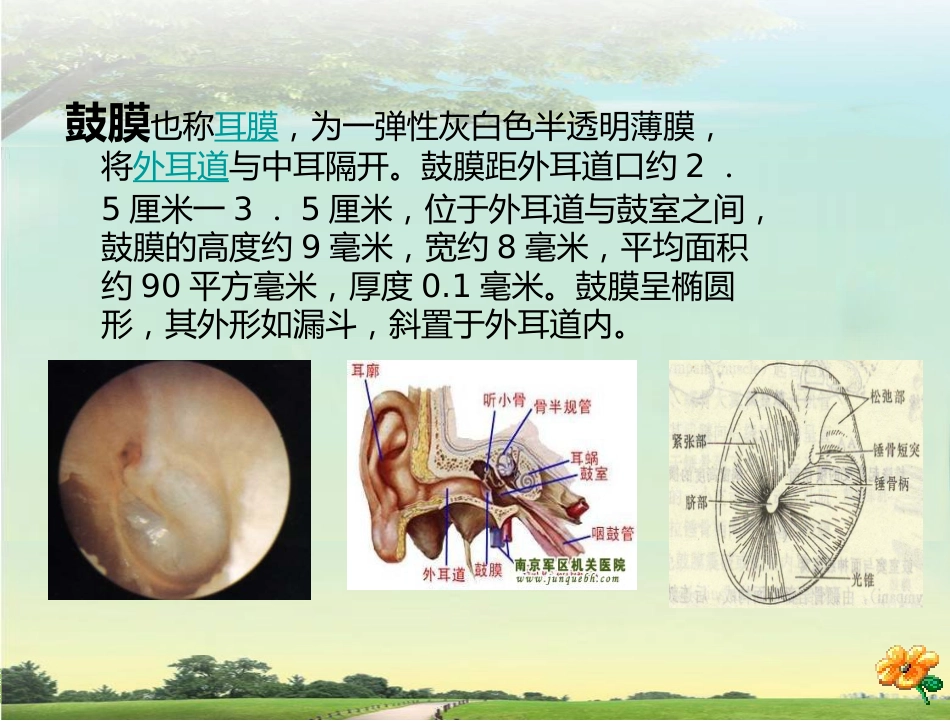 鼓膜穿孔_第4页