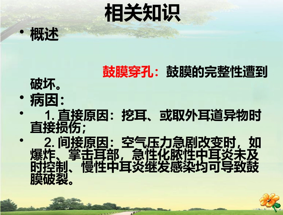 鼓膜穿孔_第5页