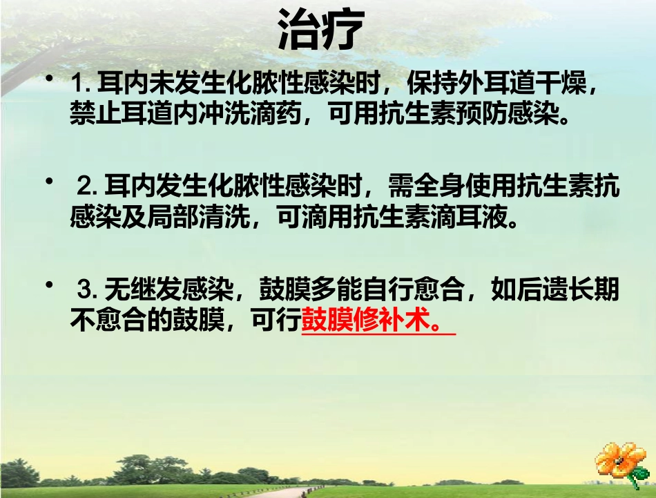 鼓膜穿孔_第8页