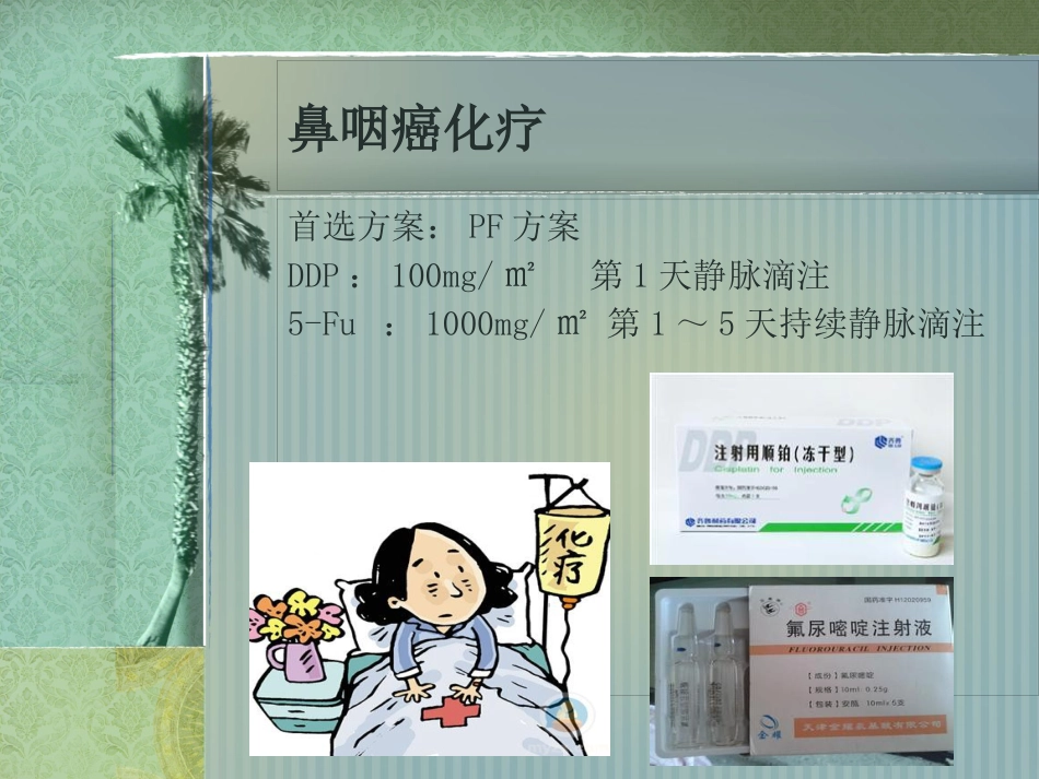 鼻咽癌护理常规_第13页
