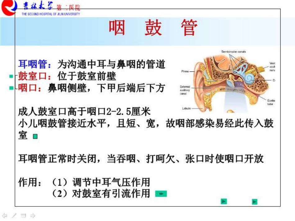 耳解剖剂分泌性中耳炎讲义_第5页