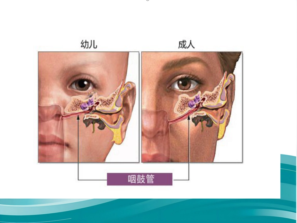 耳解剖剂分泌性中耳炎讲义_第7页