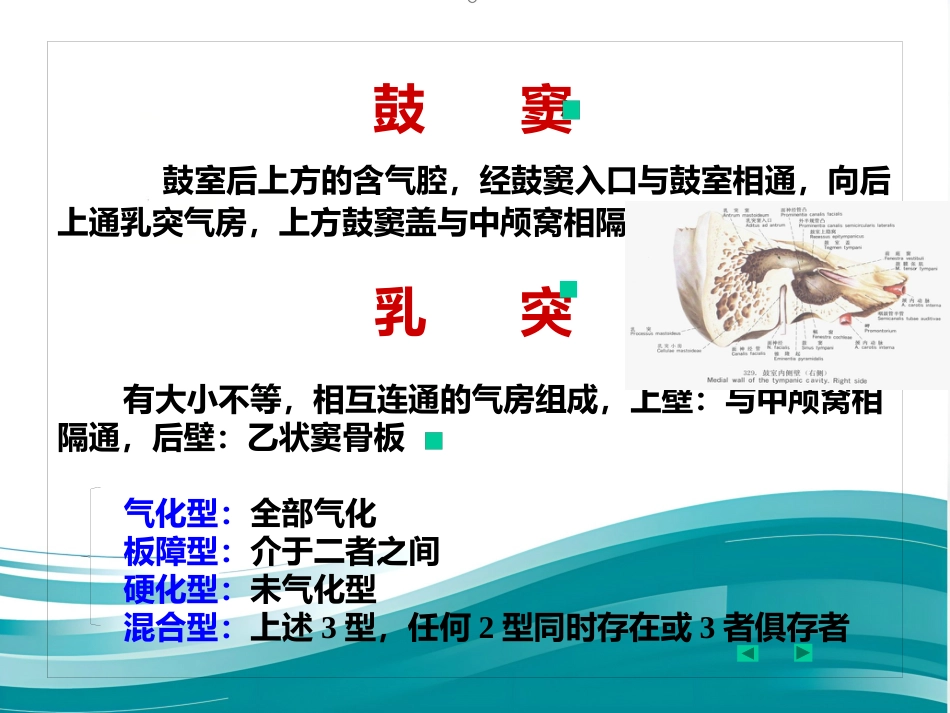 耳解剖剂分泌性中耳炎讲义_第8页