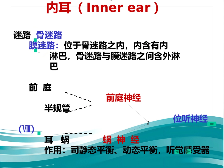 耳解剖剂分泌性中耳炎讲义_第9页