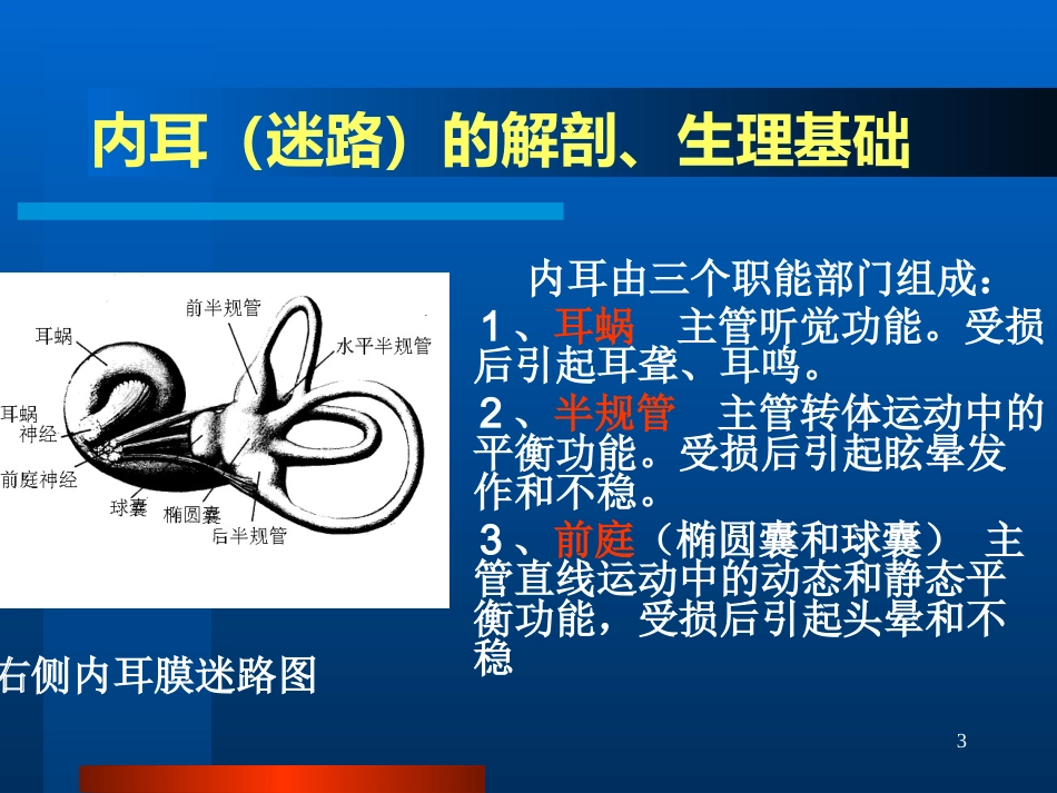 半规管前庭和耳蜗_第3页