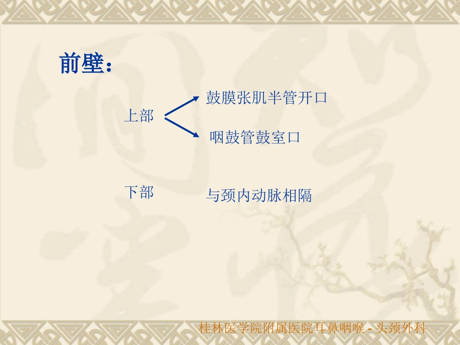 耳鼻咽喉头颈外科解剖生理_第13页