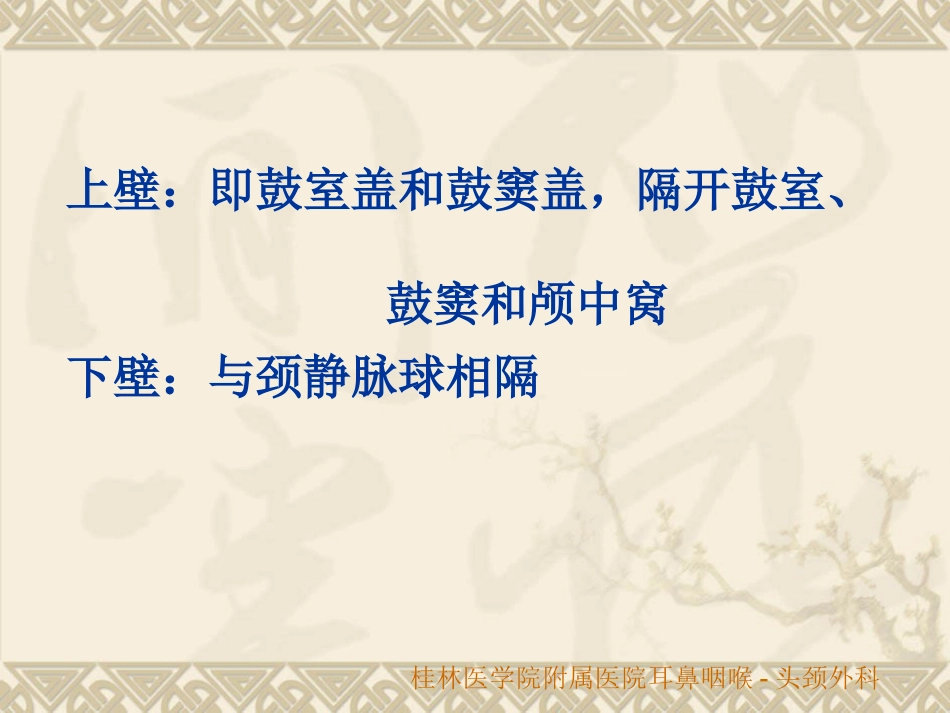 耳鼻咽喉头颈外科解剖生理_第15页