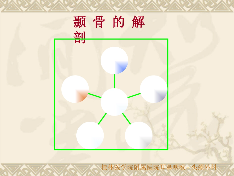 耳鼻咽喉头颈外科解剖生理_第6页