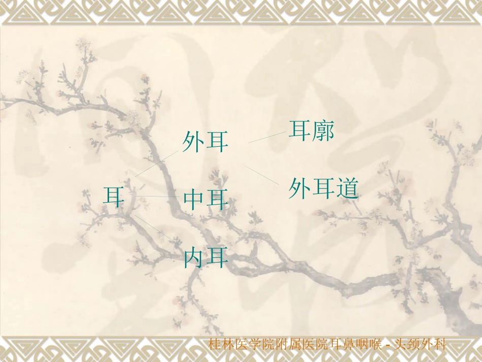 耳鼻咽喉头颈外科解剖生理_第7页