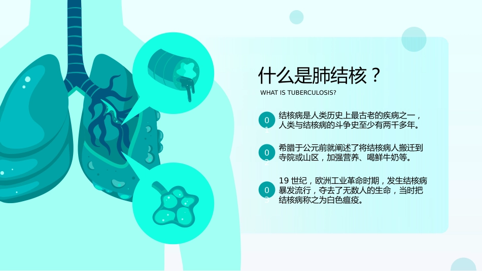 肺结核知识讲座_第10页