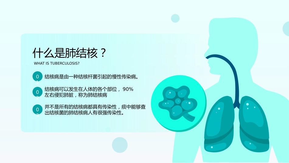 肺结核知识讲座_第12页