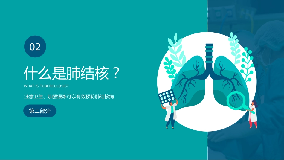 肺结核知识讲座_第9页