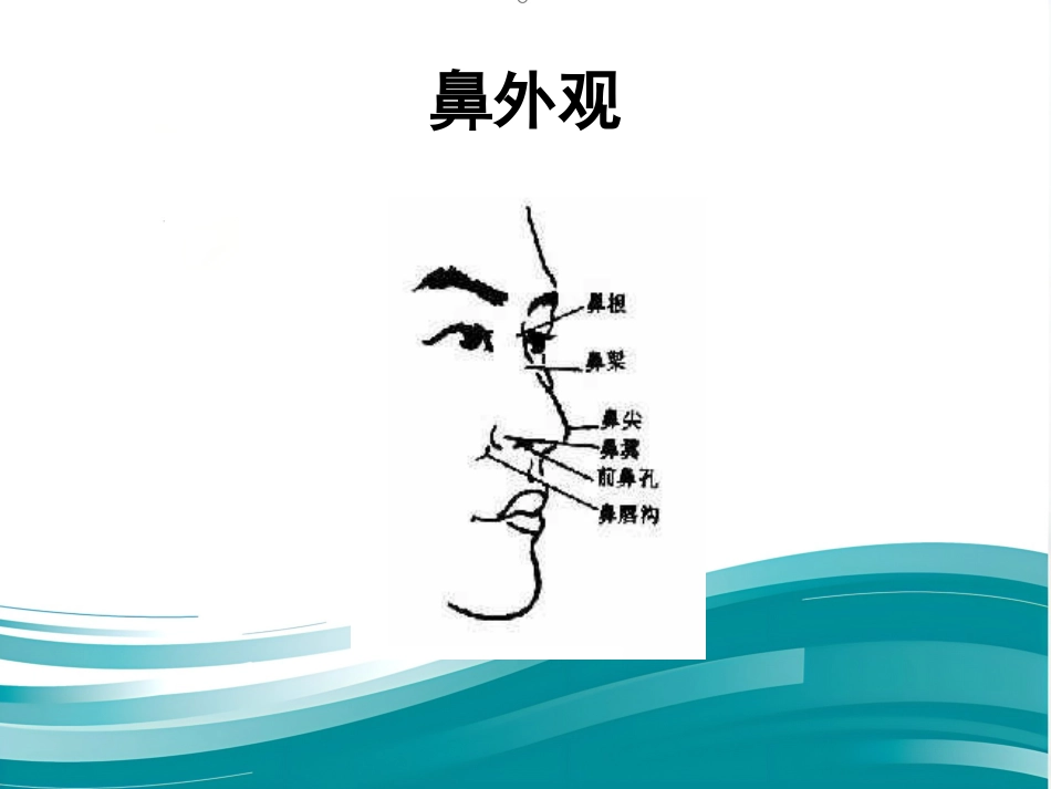耳鼻喉眼常见病症及治疗_第10页