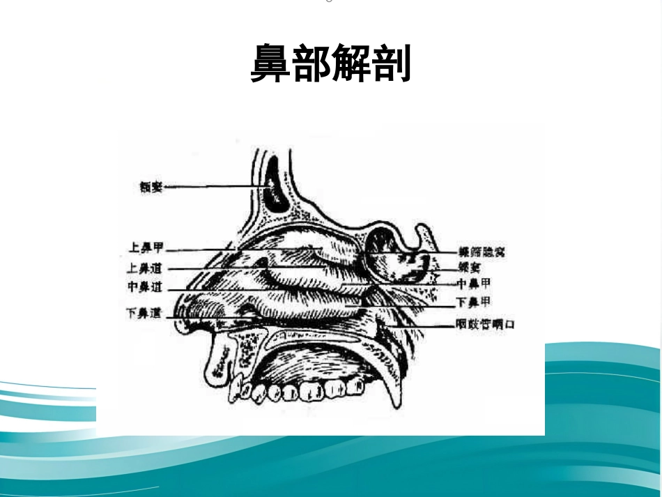 耳鼻喉眼常见病症及治疗_第11页