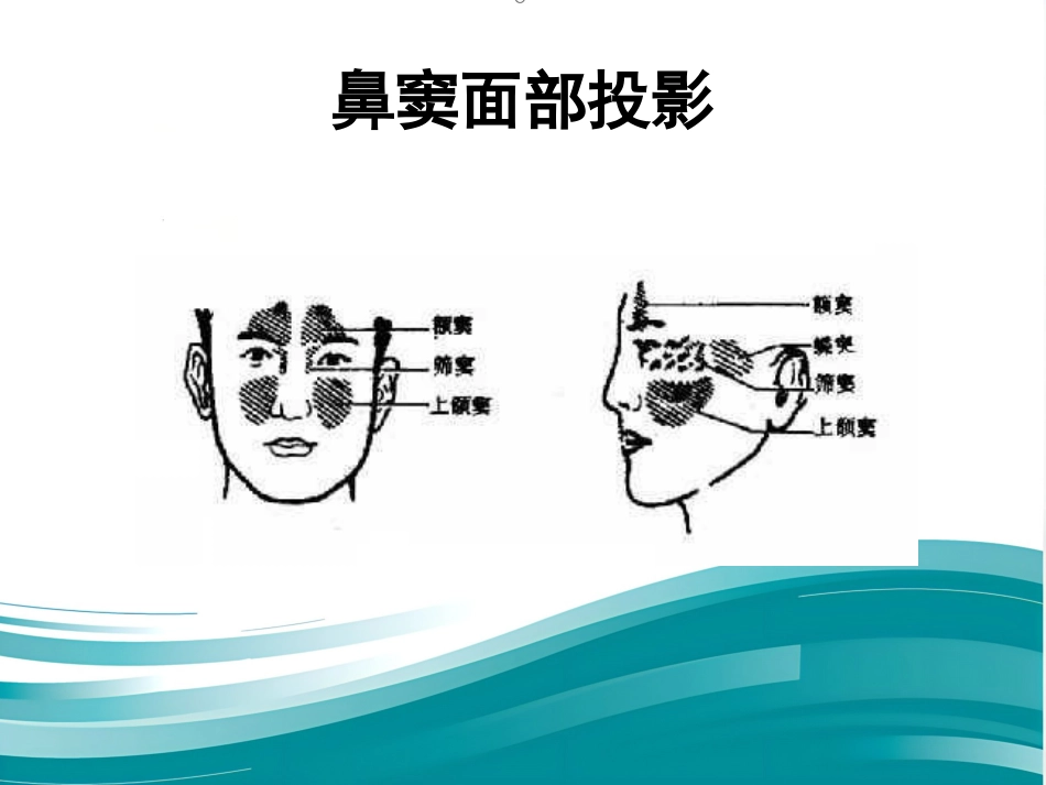 耳鼻喉眼常见病症及治疗_第13页