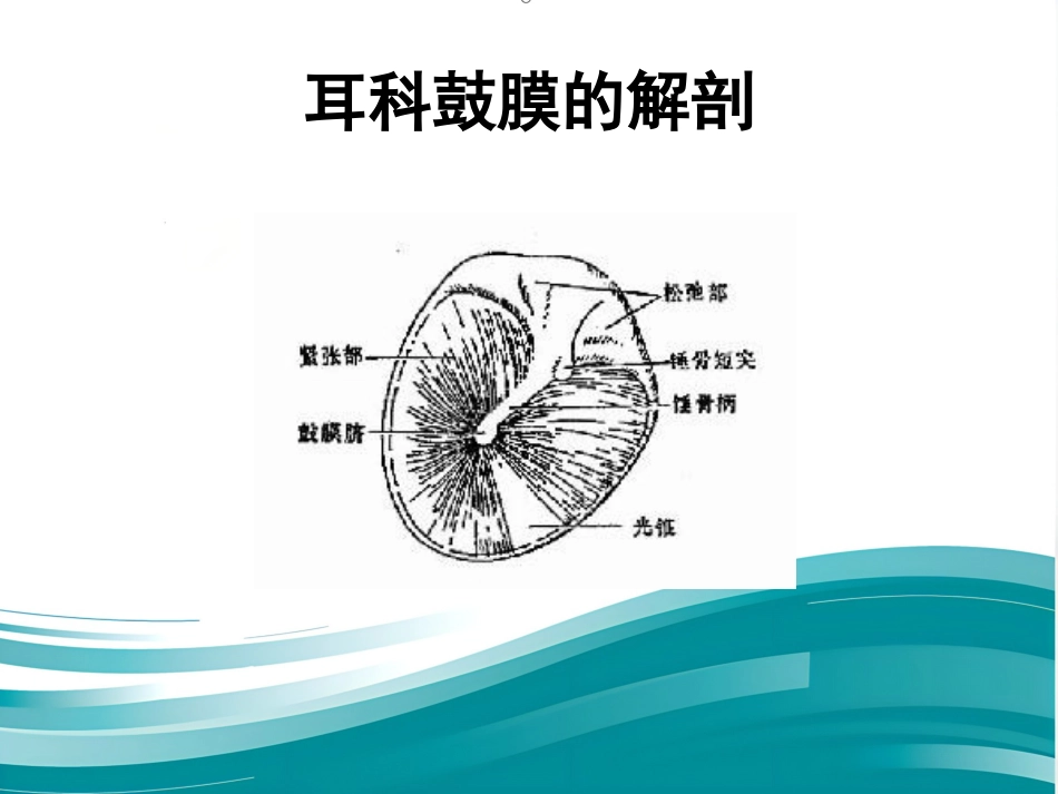 耳鼻喉眼常见病症及治疗_第3页