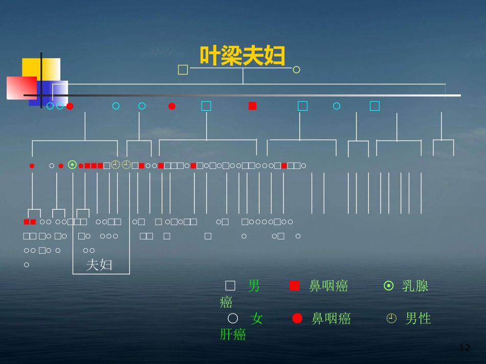 本科生鼻咽癌讲课幻灯PPT教学课件_第12页