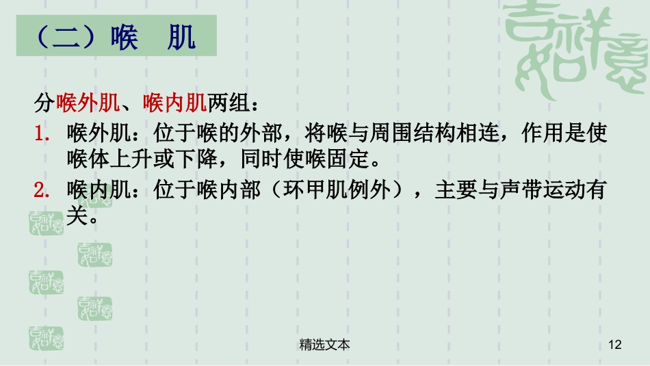 喉解剖_第12页