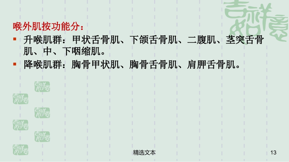 喉解剖_第13页