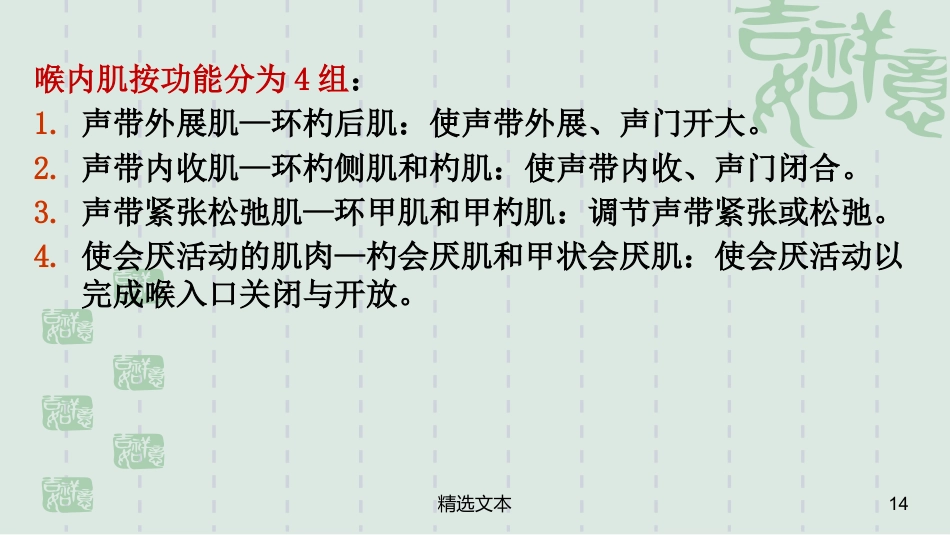 喉解剖_第14页
