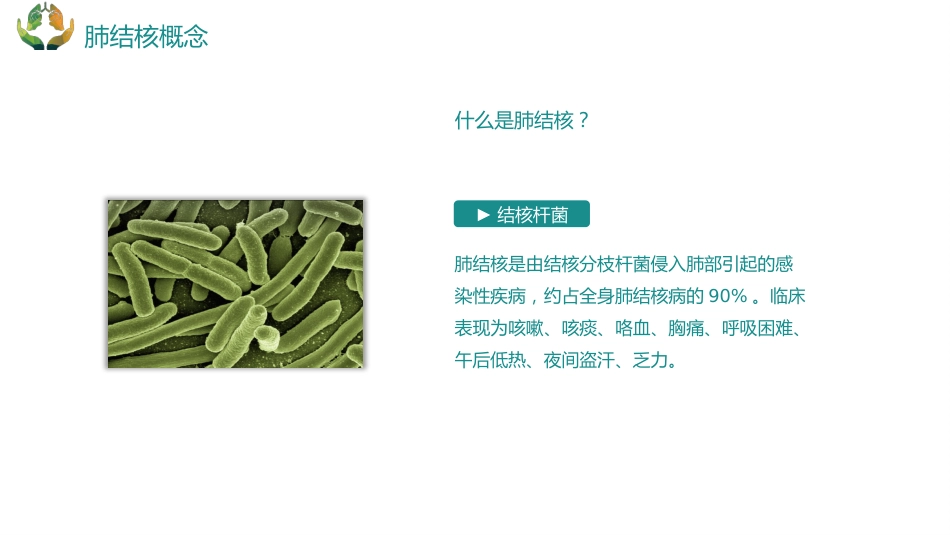 肺结核的护理_第4页