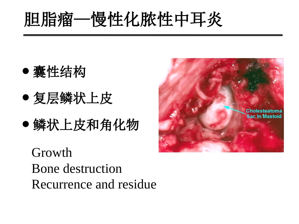 慢性化脓性中耳炎(邱建华)_第11页