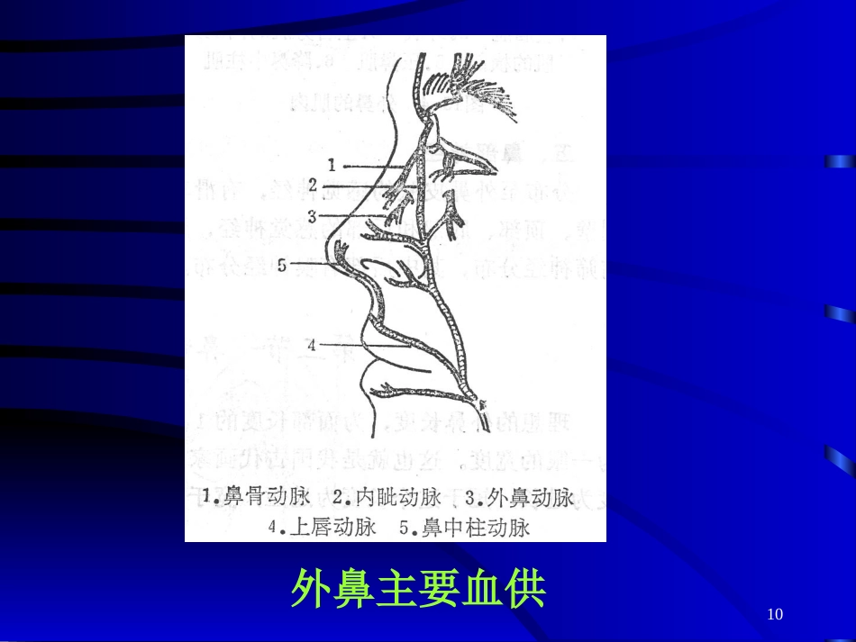鼻部常见的美容与整形_第10页
