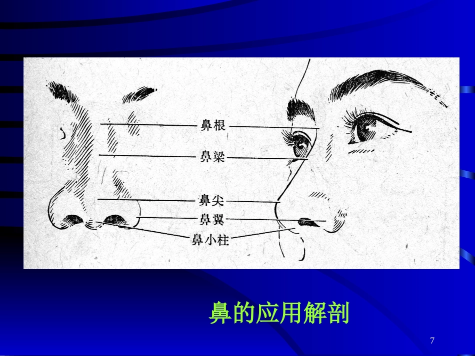 鼻部常见的美容与整形_第7页