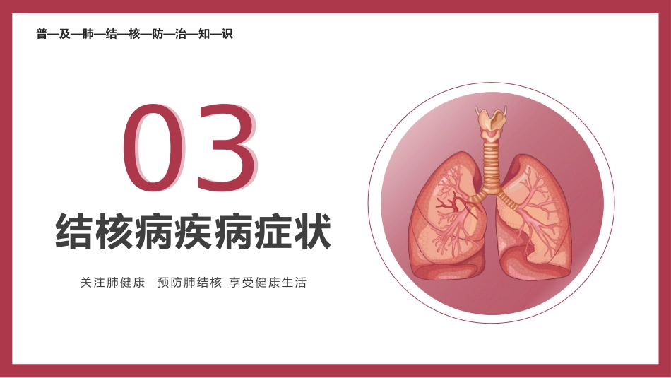 肺结核防治_第12页