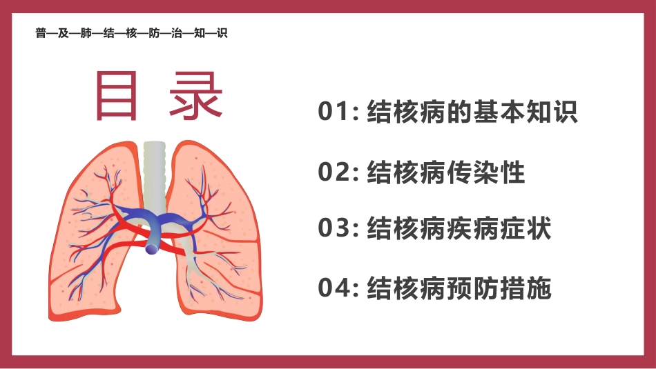肺结核防治_第2页
