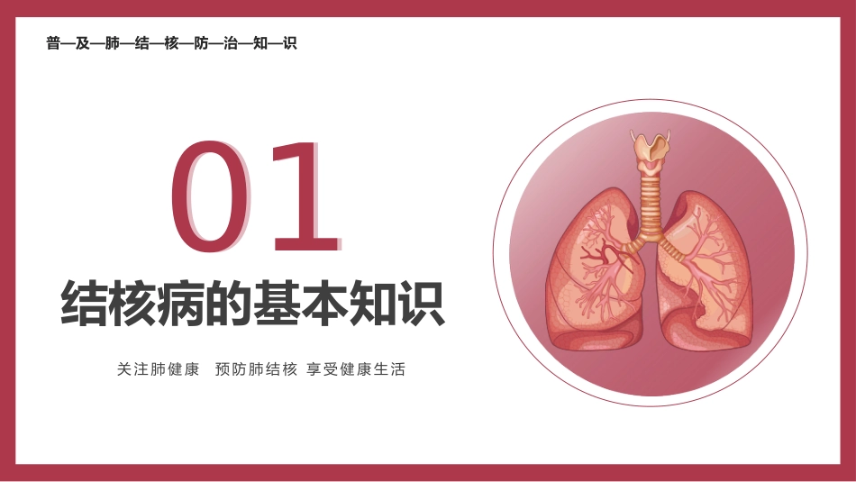 肺结核防治_第3页
