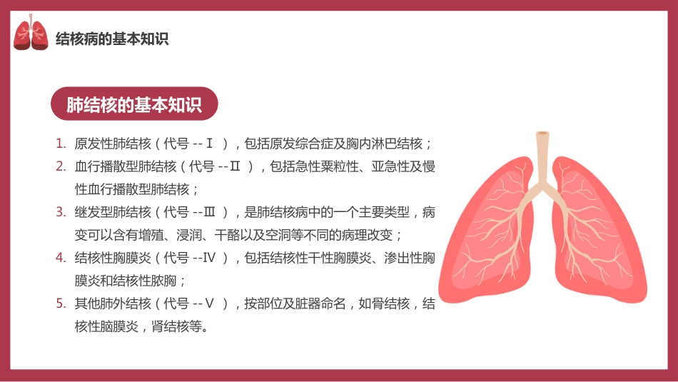 肺结核防治_第4页