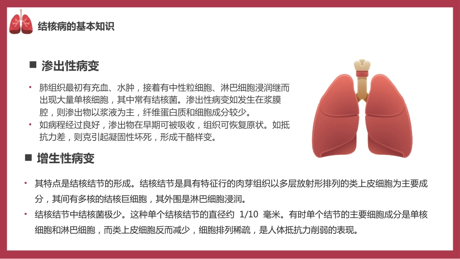 肺结核防治_第6页