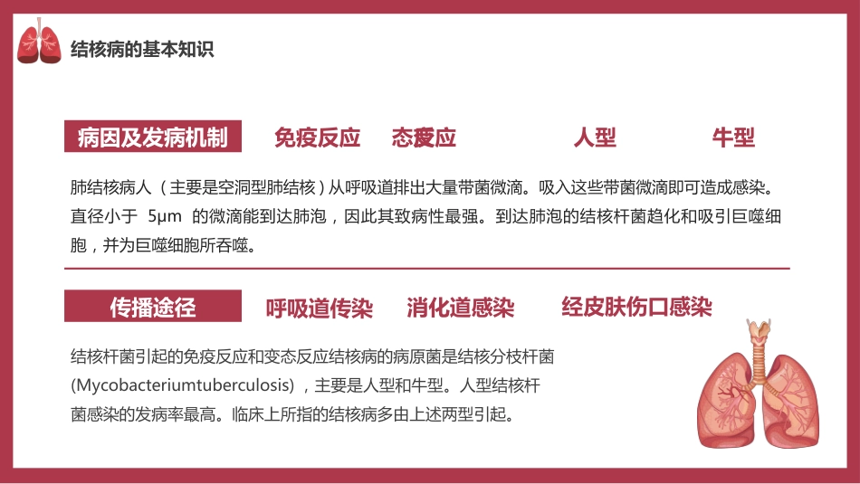 肺结核防治_第7页