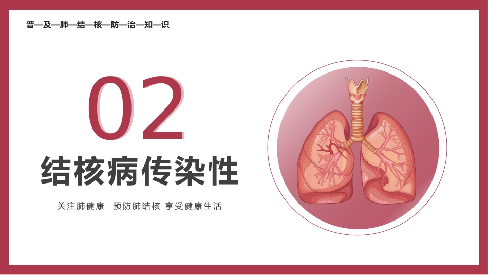 肺结核防治_第8页