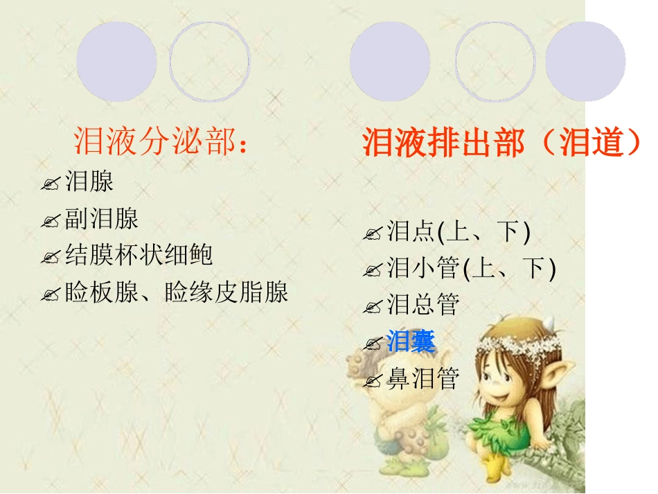 泪道病及鼻内镜下鼻腔泪囊吻合术最新优质PPT课件_第5页