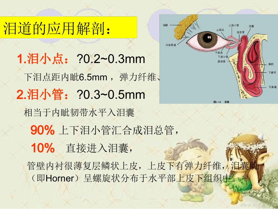 泪道病及鼻内镜下鼻腔泪囊吻合术最新优质PPT课件_第8页
