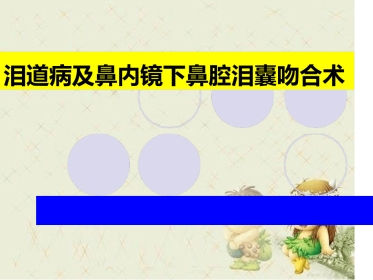泪道病及鼻内镜下鼻腔泪囊吻合术最新优质PPT课件