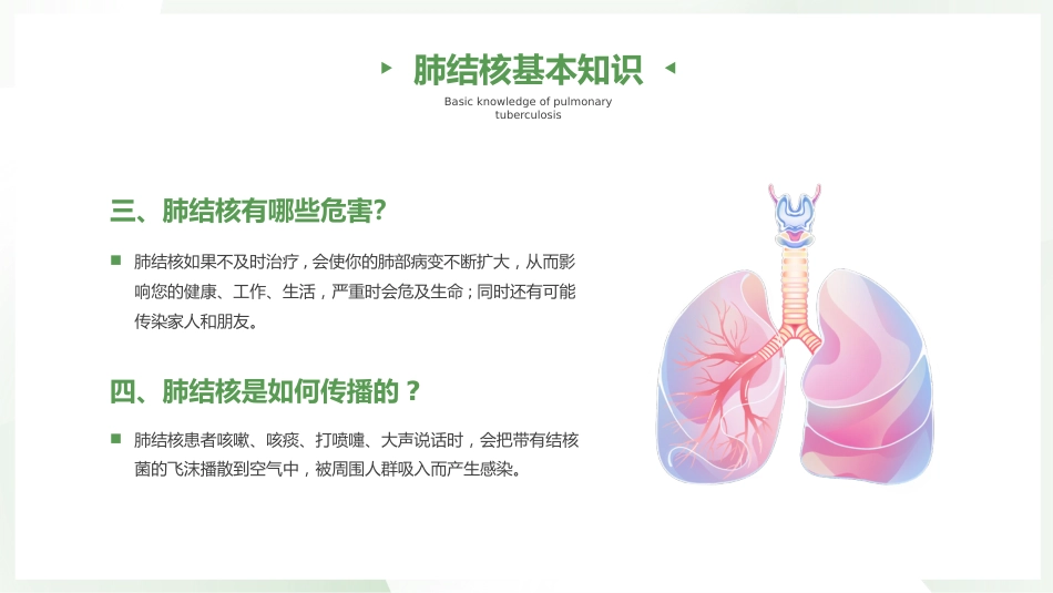 结核病健康宣教_第5页