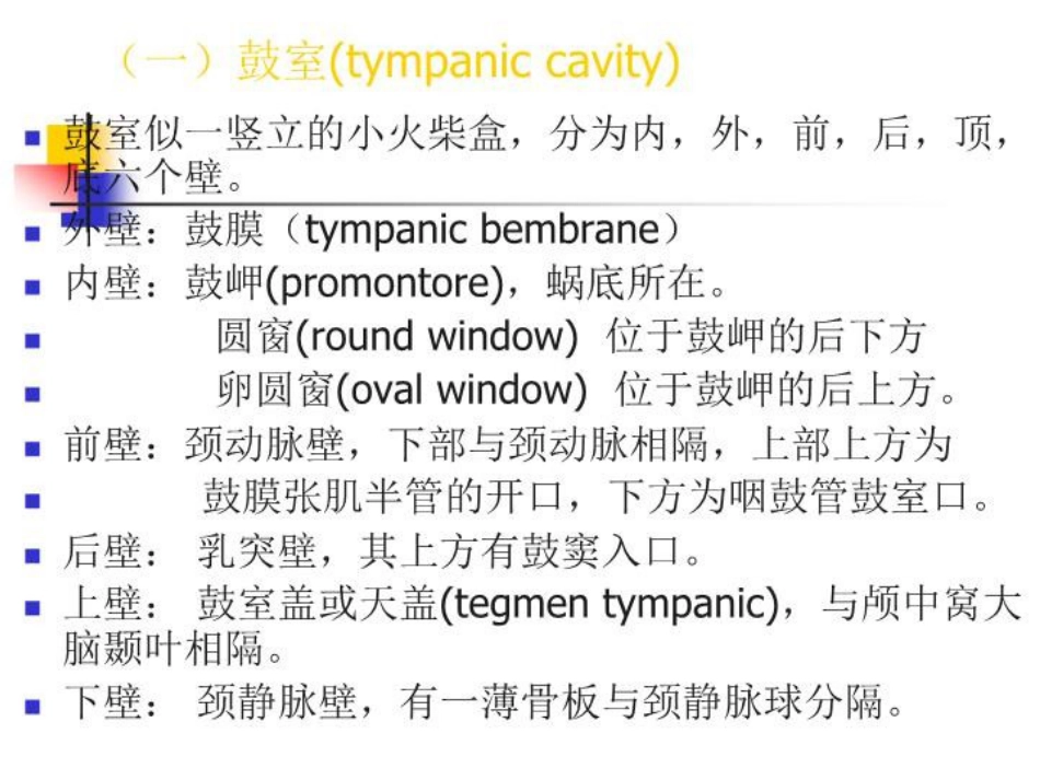 化脓性中耳炎及耳源性并发症_第5页