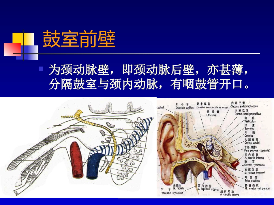 耳部病变MR诊断_第11页