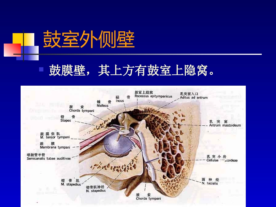 耳部病变MR诊断_第13页