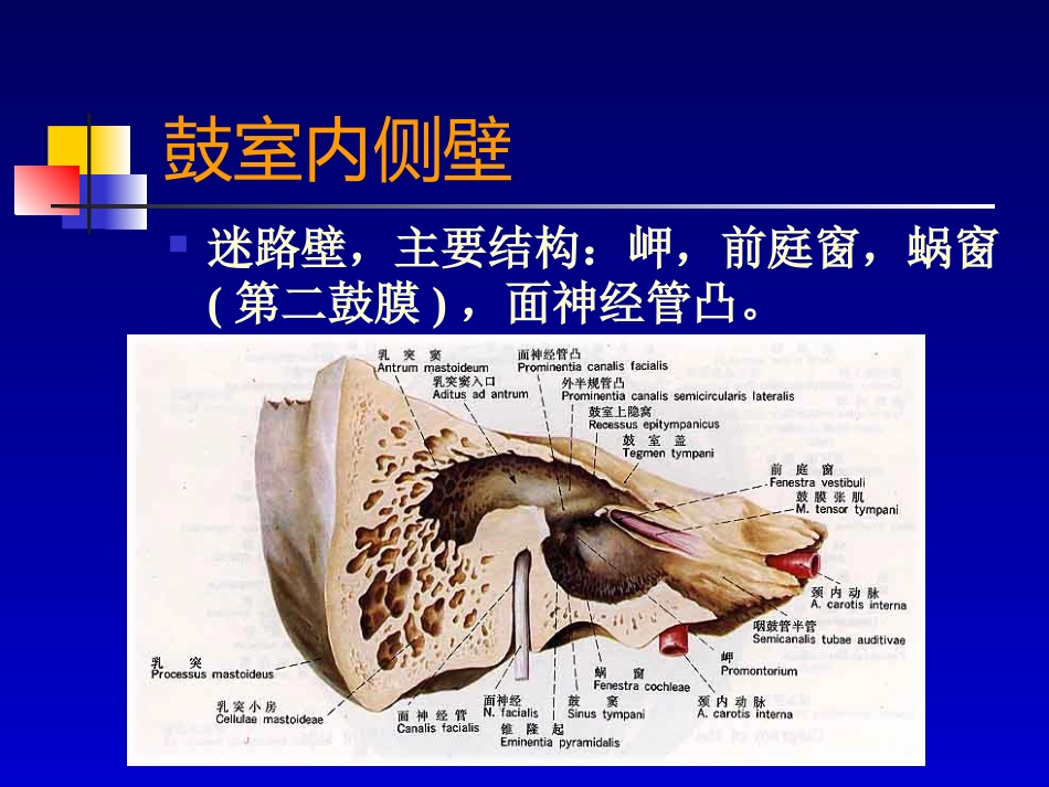 耳部病变MR诊断_第15页