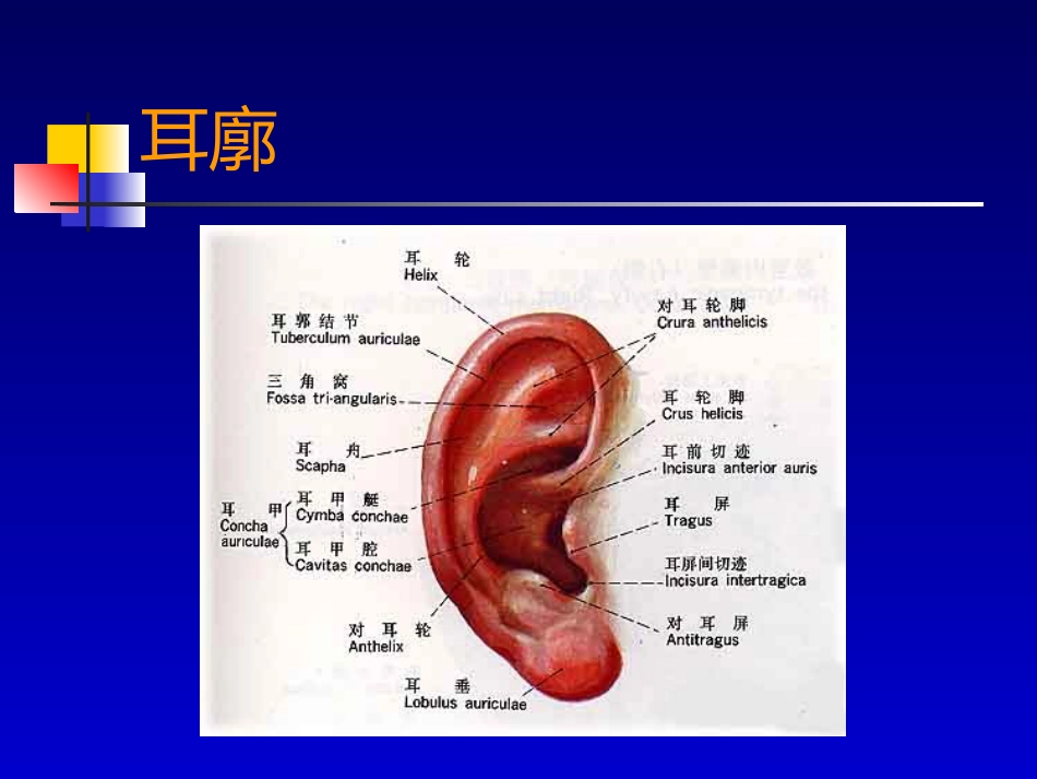 耳部病变MR诊断_第5页