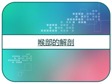 喉部的解剖 PPT